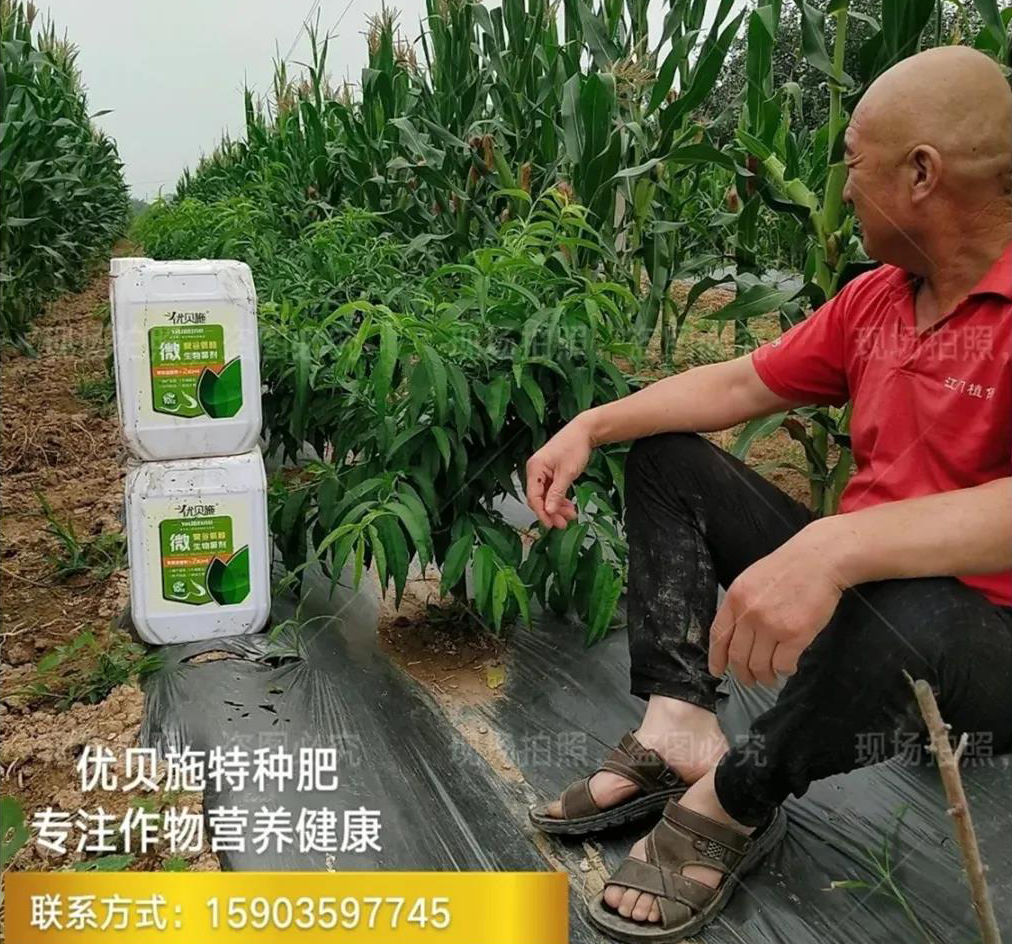 優貝施~~讓桃樹重獲生機